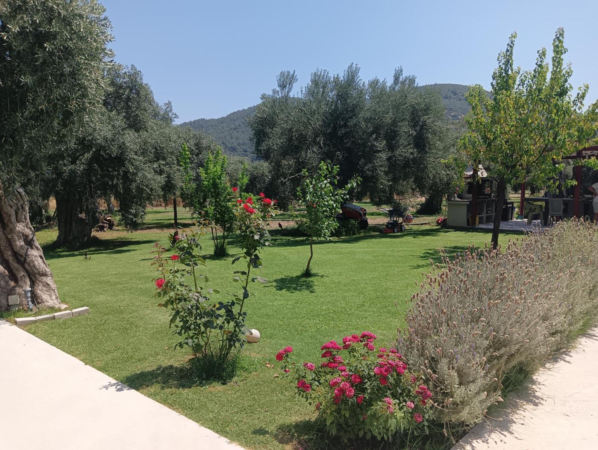 Anatoli Studios Skala Rachoni  Exterior foto